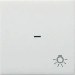Neu 💯 HAGER Kallysto Kontrollwippe Mit Lichtsymbol Brillantweiß ⭐